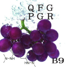 Inibidores de crescimento de reguladores de crescimento vegetal Daminozide B9